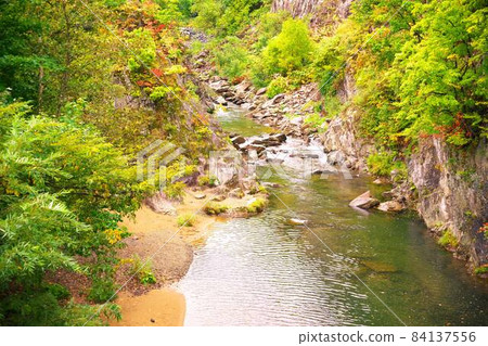 深秋染成的二見吊橋 84137556