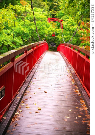 深秋染成的二見吊橋 深秋染成的二見吊橋 84137558