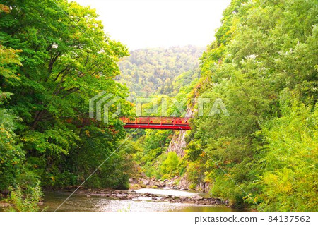 深秋染成的二見吊橋 深秋染成的二見吊橋 84137562