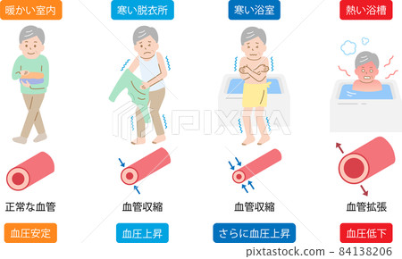 Heat shock Senior male vasoconstriction and vasodilation Increased blood pressure and decreased blood pressure 84138206