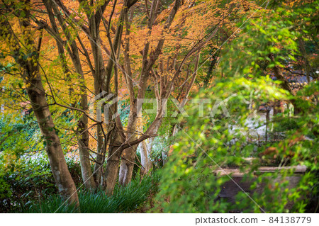 The scenery of Jizo and the mountains where the autumn leaves are colored in the clear autumn weather 84138779