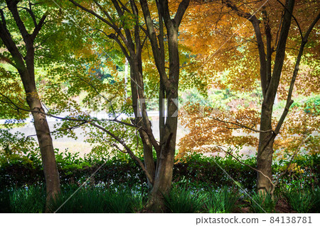 The scenery of Jizo and the mountains where the autumn leaves are colored in the clear autumn weather 84138781