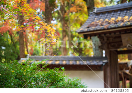 地藏山的景色和秋天的秋葉染紅的山巒 地藏山的景色和秋天的秋葉染紅的山巒 84138805