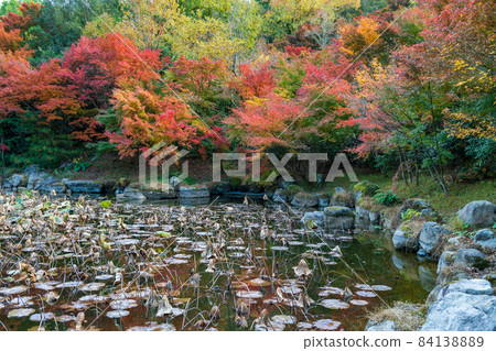 地藏山的景色和秋天的秋葉染紅的山巒 84138889