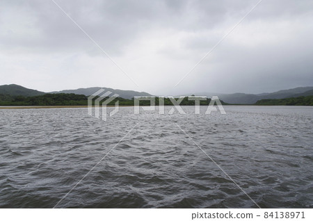 Mangrove colonies that fill the banks of the Nakama River 84138971