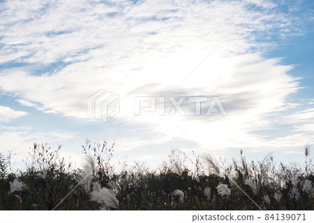 秋天的天空 秋天的天空 84139071