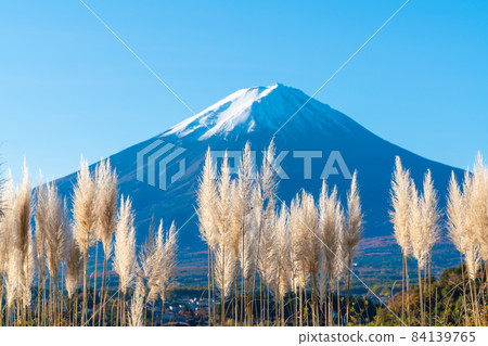 Susuki和富士山 Susuki和富士山 84139765