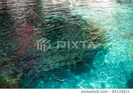 紅葉時節，清流竹造國的河流景色 84139821