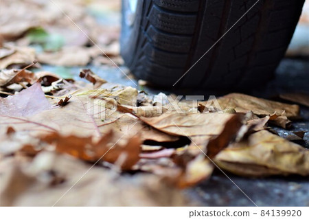 Autumn leaves on the street besides a car as a close up 84139920