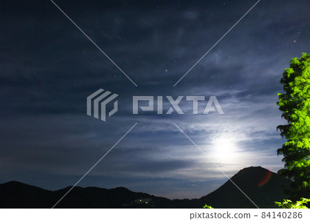 Night view of Imutaike and young leaves of Bald cypress Night view of Imutaike and young leaves of Bald cypress 84140286