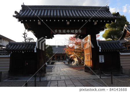 Mibudera Temple in autumn colors, Kyoto, Kyoto City, Kyoto Prefecture 84141688