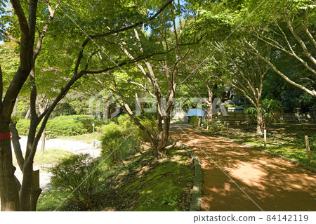 東京都千代田區紀尾井町清水穀公園 84142119