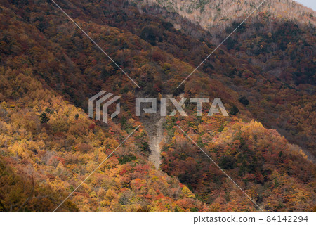 Beautiful mountain autumn leaves Beautiful mountain autumn leaves 84142294