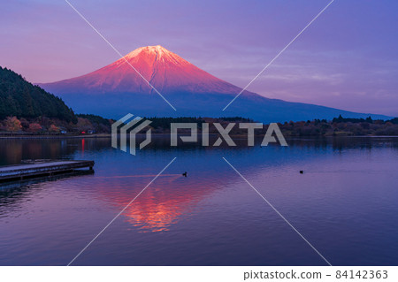(Shizuoka Prefecture) Mt. Fuji autumn evening view from Lake Tanuki 84142363