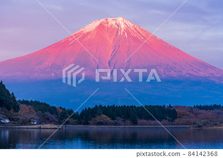 (Shizuoka Prefecture) Mt. Fuji autumn evening view from Lake Tanuki (Shizuoka Prefecture) Mt. Fuji autumn evening view from Lake Tanuki 84142368
