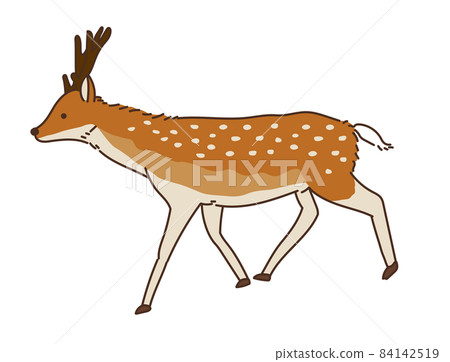 Deer deer only game illustration 84142519