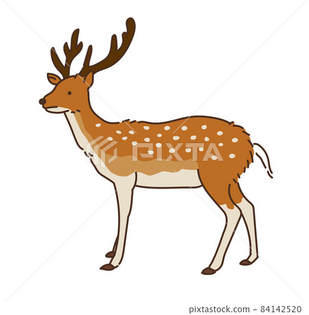 Deer deer only game illustration 84142520