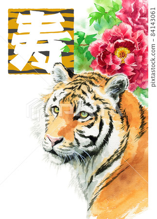 New Year's material analog watercolor tiger face and winter flowers red peony 84143061