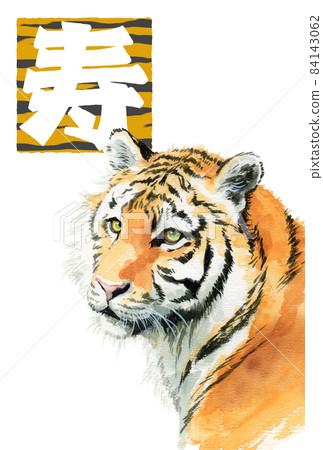 New Year's material analog watercolor tiger's face and longevity brush character New Year's material analog watercolor tiger's face and longevity brush character 84143062