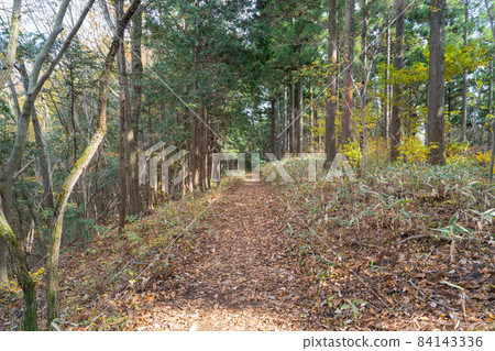 從道莊山到影信山的山路（關東友誼路） 84143336