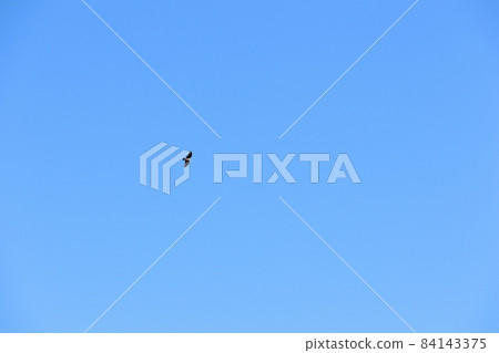 風箏 風箏 84143375