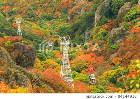 [香川縣] 天氣晴朗的寒華溪的紅葉 84144918