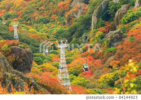 [香川縣] 天氣晴朗的寒華溪的紅葉 84144923