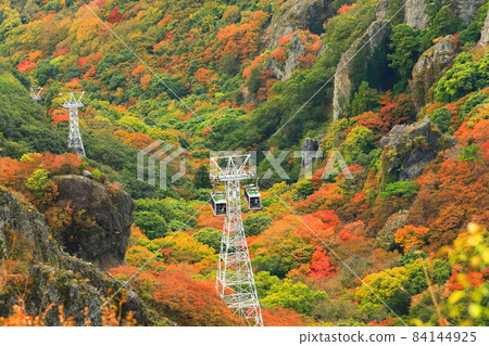 [Kagawa Prefecture] Autumn leaves in Kankakei under fine weather 84144925