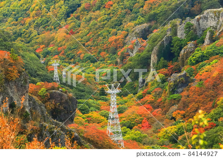 [香川縣] 天氣晴朗的寒華溪的紅葉 84144927