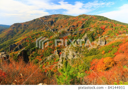 [香川縣] 天氣晴朗的寒華溪的紅葉 84144931