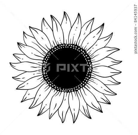Hand drawn monochrome silhouette of sunflower silhouette Hand drawn monochrome silhouette of sunflower silhouette 84145937