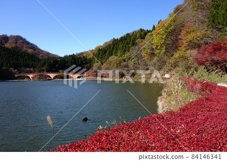 Autumn leaves of Usui Lake Autumn leaves of Usui Lake 84146341