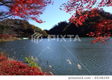臼井湖秋葉 臼井湖秋葉 84146349
