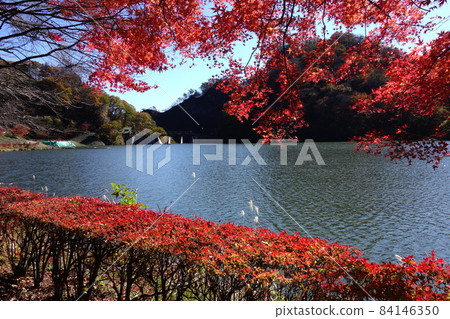 臼井湖秋葉 臼井湖秋葉 84146350