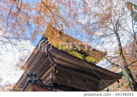 兵庫縣丹波市高源寺的秋葉 84146843