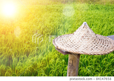 Asian rice hat or coolie hat. Sunny Hill China Guangdong Local Characteristics Hand-Woven Large Conical Hats Sun Hat on the terrace with green rice field on background Asian rice hat or coolie hat. Sunny Hill China Guangdong Local Characteristics Hand-Woven Large Conical Hats Sun Hat on the terrace with green rice field on background 84147658
