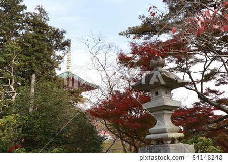Autumn leaves at Naritasan Shinshoji Temple. It is an autumnal landscape. Autumn leaves at Naritasan Shinshoji Temple. It is an autumnal landscape. 84148248