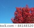 Late autumn 84148320