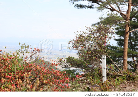山頂三角點,秋景紅果 山頂三角點,秋景紅果 84148537