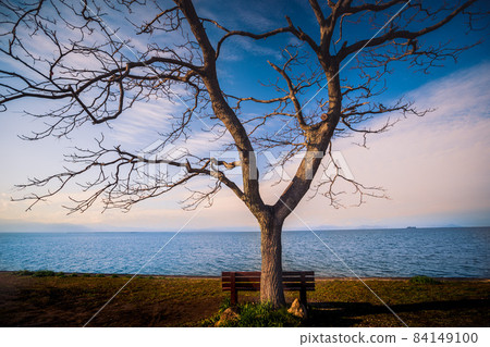 Photograph of a bench installed on the shores of Lake Biwa in Hikone City, Shiga Prefecture 84149100