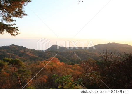 Scenery from the observation deck of Kobe Municipal Forest Botanical Garden [Kita-ku, Kobe City] 84149591