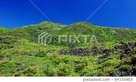 Tsuboi Tsuboi 84150983