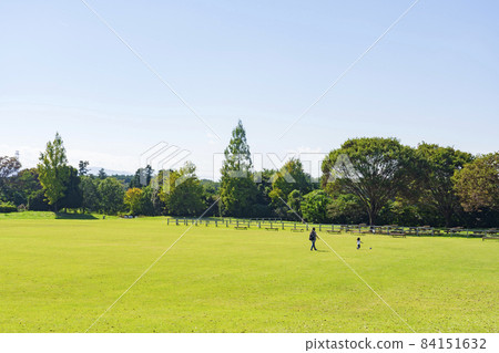 【埼玉縣】國立武藏九棱森林公園 84151632