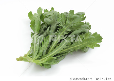 食用菊花 84152156