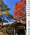 霧島神宮的彩色秋葉 84152320