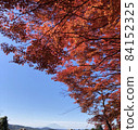 從霧島神社看到的櫻島和秋葉 84152325