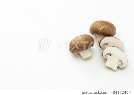 Mushroom white background 84152404
