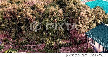 釜山松亭海灘附近一棟被秋葉環繞的小瓷磚屋的後院 釜山松亭海灘附近一棟被秋葉環繞的小瓷磚屋的後院 84152583