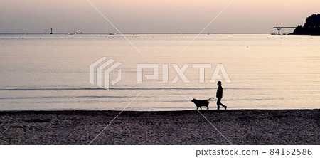 A man walking with his dog on the sandy beach of Songjeong Beach in Busan at sunset A man walking with his dog on the sandy beach of Songjeong Beach in Busan at sunset 84152586