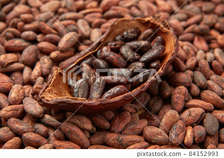 Pile of raw aromatic cocoa beans 84152993